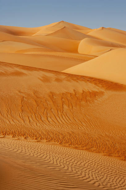 istock Dune Landscape in the Empty Quarter 1359300359