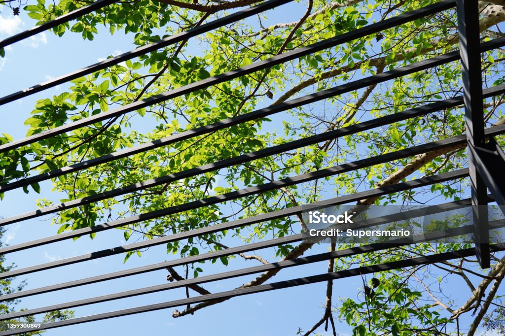 Battens of the building in natural  ackground Battens of the building under Tree with green spring leaves Angle Stock Photo