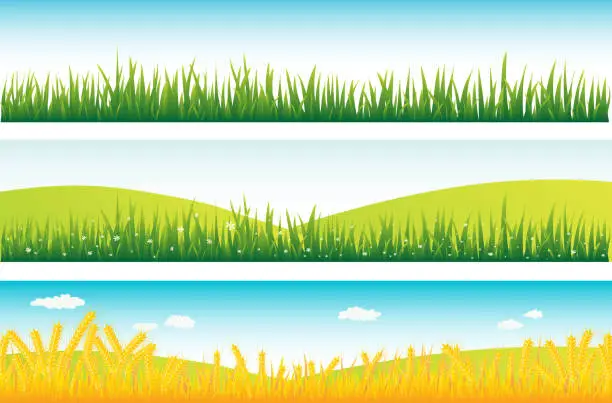 Vector illustration of Green Banners