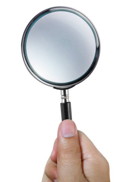 istock Hand holding a magnifying glass isolated on a white background 1359303456