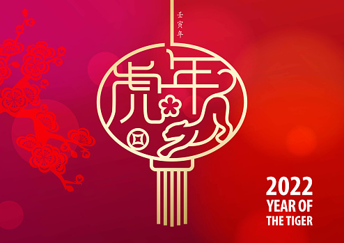 Celebrate Year of the Tiger 2022 with gold colored stamp of tiger, flower, coin and Chinese words forming the Chinese lantern shape hanging on the plum blossom red background, the Chinese words mean Year of the Tiger and the vertical Chinese phrase means year of the tiger according to lunar calendar system
