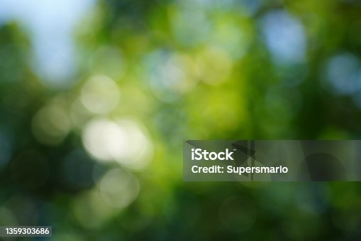 istock Abstract blurred leaves 1359303686