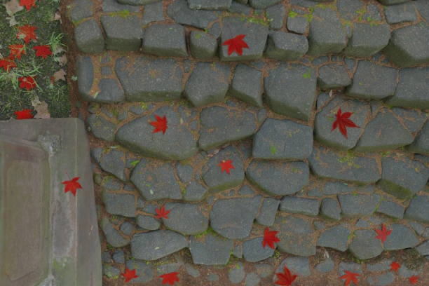 3d rendering of Japanese maple leaves laying on stone staircase