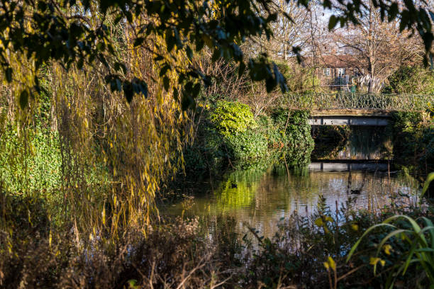 istock Lloyd Park, London, UK 1359305744