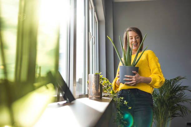 istock Woman planting flowers. 1359307031