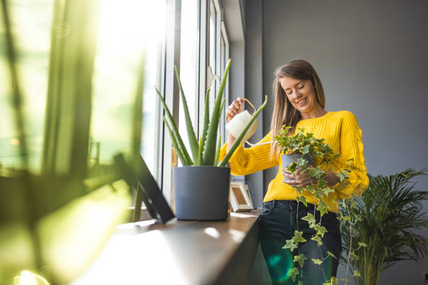A Young Woman Waters Her Houseplants