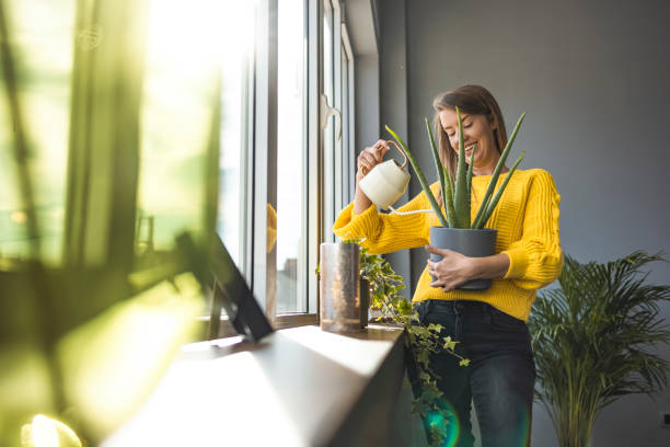 istock Young woman watering her plants 1359307085
