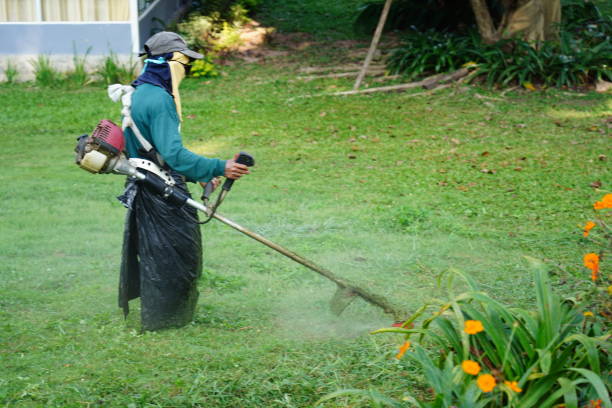 istock The man  working in the garden with lawn trimmer 1359307217