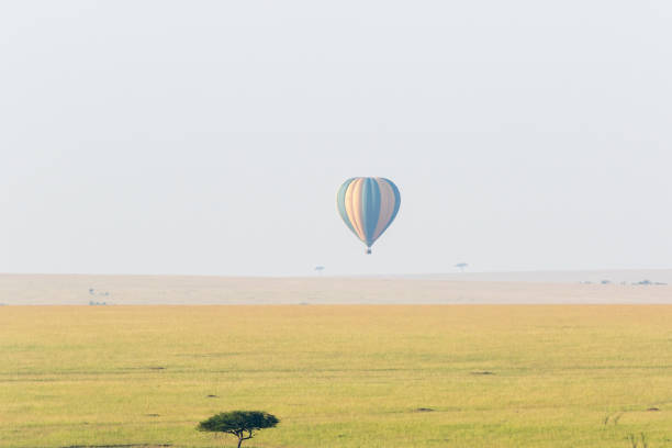 istock Hot air balloon over the savanna 1359309339