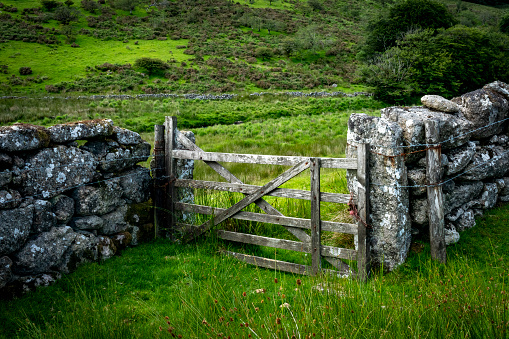 Farm gate and pasture on Dartmoor, this is on the walk from Two Bridges to Wistman's wood