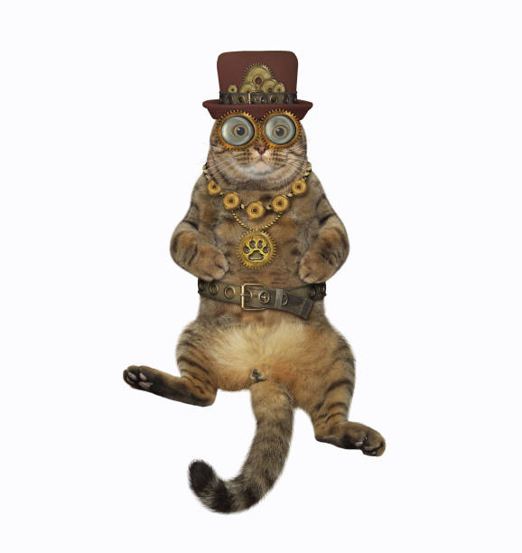 istock Cat wears steampunk glasses 1359311812