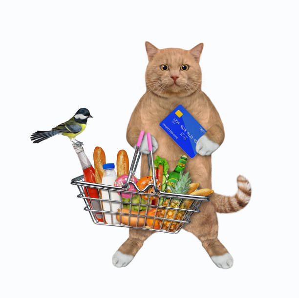 istock Cat reddish with metal basket and credit card 1359311824