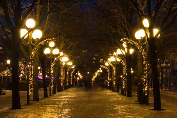 istock Birgit Nilsson Alley in Stockholm 1359312259