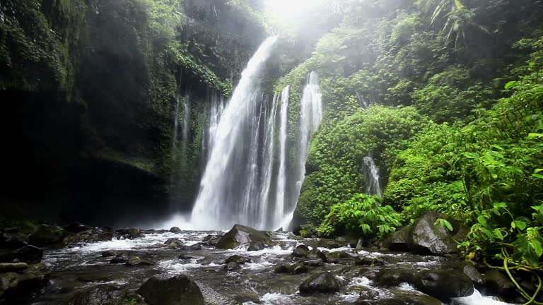 Lombok Waterfall