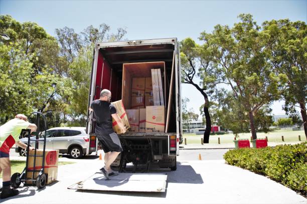 New Mexico Long Distance Movers Near Me