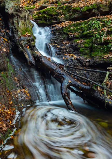 istock Tranquil waterfall scenery in the middle of autumn forest 1359314084