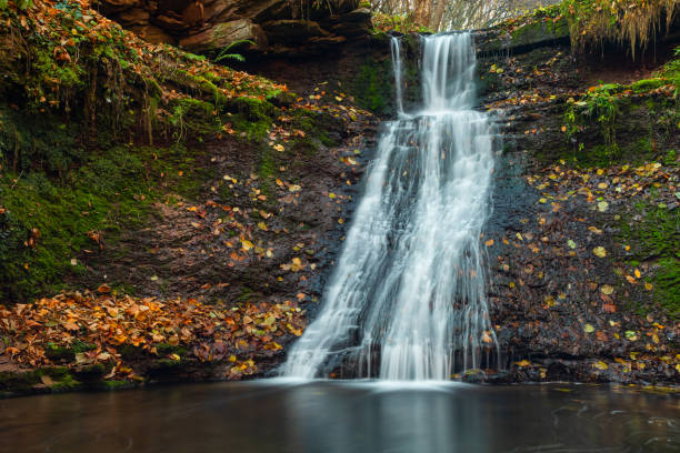 istock Tranquil waterfall scenery in the middle of autumn forest 1359314093