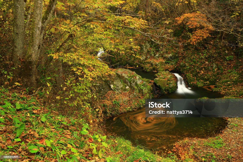 Autumn leaves waterfall Iwate Prefecture Stock Photo