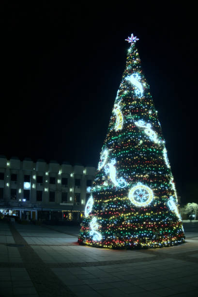 istock Outdoor Christmas Tree Lights 1359316367