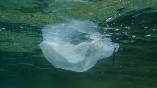 istock Plastic garbage underwater, Aegean Sea, Greece, Halkidiki. Sea pollution. 1359322626