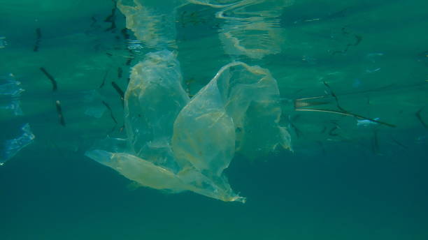 istock Plastic garbage underwater, Aegean Sea, Greece, Halkidiki. Sea pollution. 1359322648