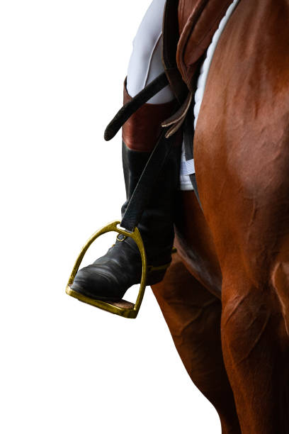 istock A rider's foot on brown horse looking forward closeup. 1359325293