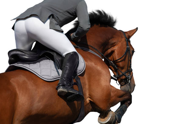 istock A rider on horseback jumping on white background. 1359325337