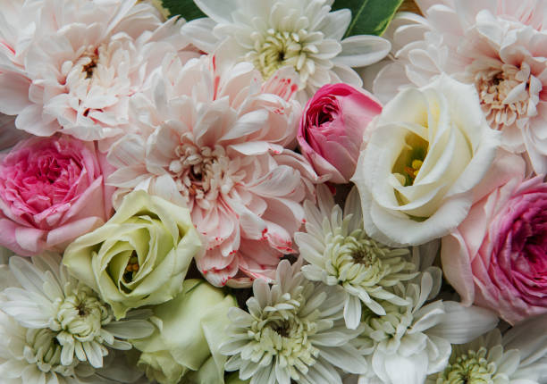 istock Beautiful pink and white flowers background 1359325800