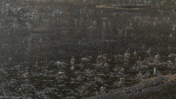 istock Raindrops hitting puddles on a rainy day. Rain drops falling in a big puddle on urban asphalt in the town. 1359333438