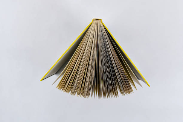 istock View on open book directly above on white background 1359337150