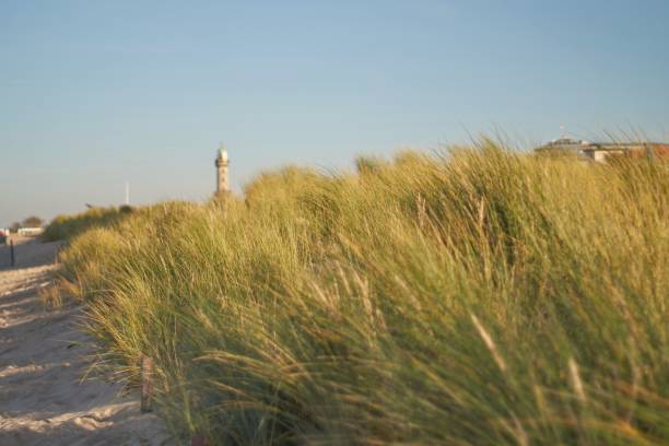 istock Dune with beach grass, Lighthouse in the background 1359337413