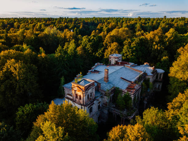 istock Old ruined overgrown abandoned mansion, aerial view. 1359338171