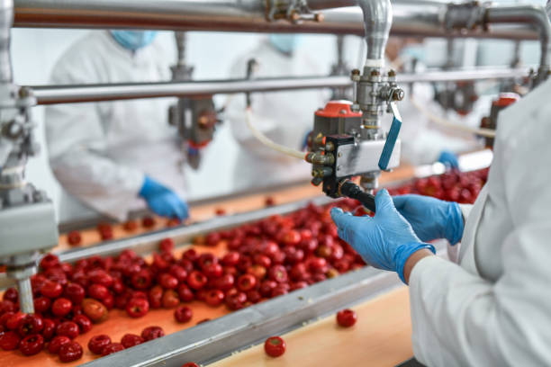 istock Workers De-Seeding Cherries For Chia Pudding In Factory 1359339827