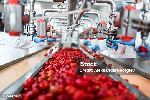 istock De-seeding Of Cherries In Chia Pudding Factory By Workers 1359339837