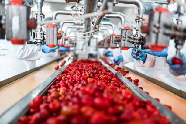 de-seeding of cherries in chia pudding factory by workers - monteringsband bildbanksfoton och bilder