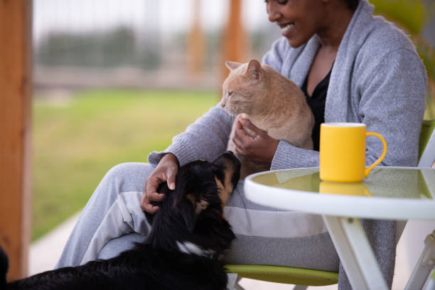 femme caressant son chat et son chien. - dog domestic cat pets women photos et images de collection