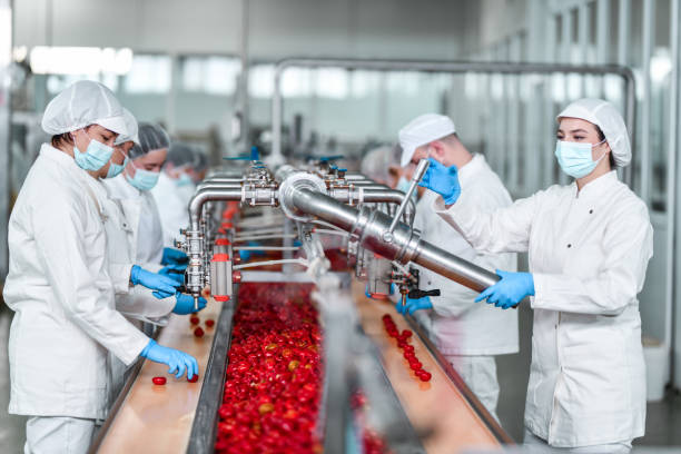 trabajadores de fábrica que usan la máquina para procesar pimientos y llenarlos antes de jarrear - food and drink industry fotografías e imágenes de stock