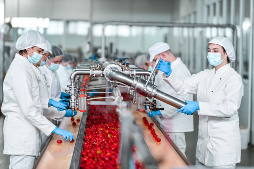 Factory Workers Using Machine To Process Peppers And Fill Them Before Jarring