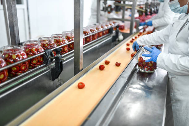 istock Workers Packing Cherries In Jars For Further Production 1359340421