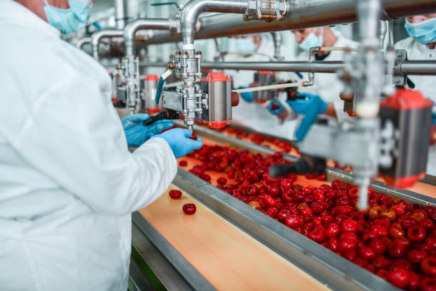 istock De-seeding Of Cherries In Chia Pudding Factory By Workers 1359340433