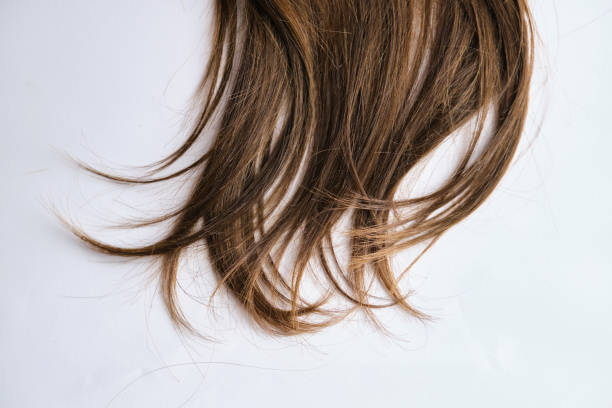 istock Brown hair isolated on white background with Long ponytail 1359341011