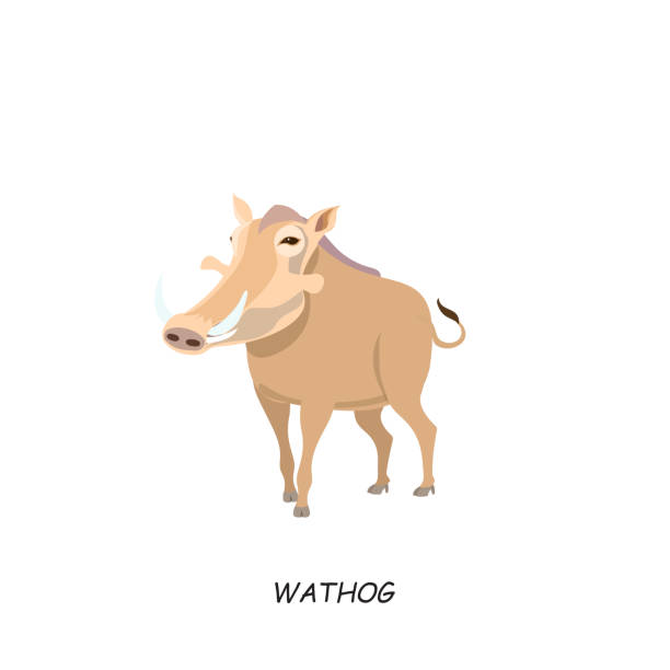 Wathog. African animal. Vector illustration isolated on white background. Wathog. African animal. Vector illustration isolated on white background. warthog stock illustrations