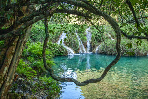 Waterfall at Semuc Champey, Río Cahabón, Cahabón River, Municipality of Languín, Alta Verapaz, Guatemala. A beautiful little waterfall at Cahabón River, Semuc Champey in Guatemala. guatemala landscape stock pictures, royalty-free photos & images