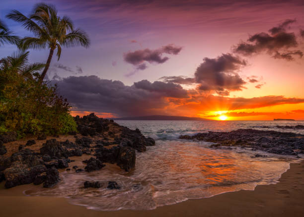 красивый закат на гавайском пляже - beach tourist resort mexico tropical climate стоковые фото и изображения
