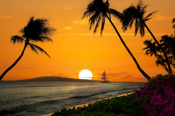 istock Hawaiian sunset with sailboat and mountains 1359349147