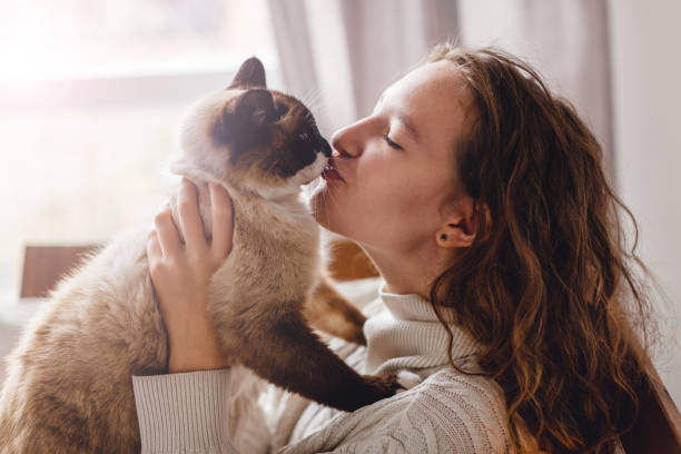 istock Cute cat on owners's hands at home 1359350766