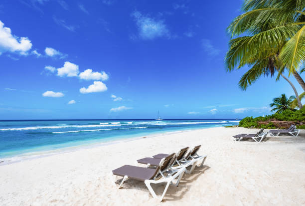 istock palm beach chaise longue caribbean sea 1359350927