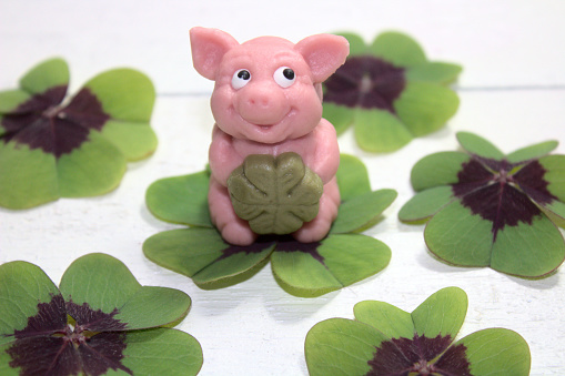 pink marzipan pig in lucky clover