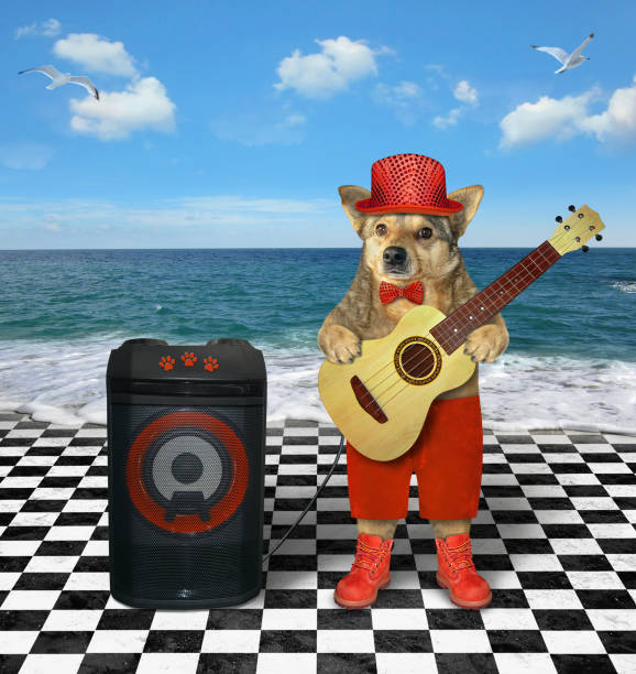 istock Dog plays guitar on seashore 1359354595