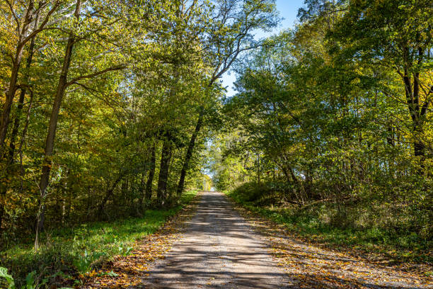 istock Indiana Dirt Road 1359354783